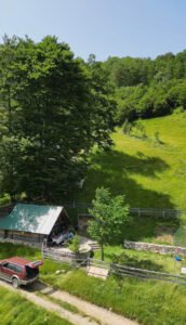 Guests enjoying a meal outdoors by a wooden cabin with green hills and trees in the background